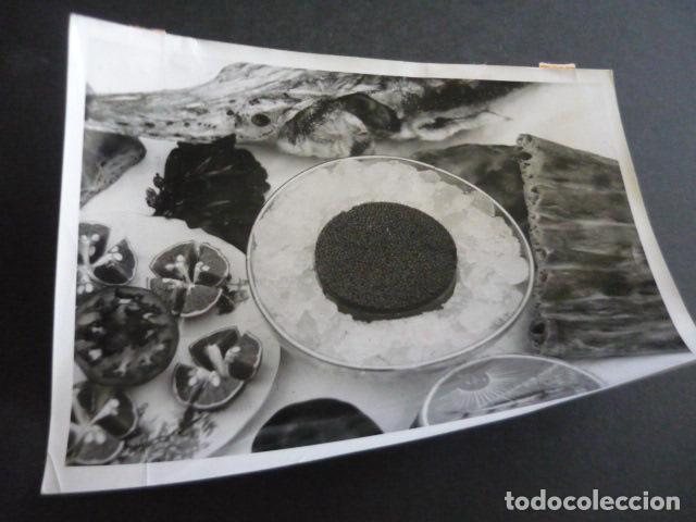 Alte Fotografie: PESCA DEL ESTURION CAVIAR ANTIGUA FOTOGRAFIA ORIGINAL 24 X 18 CM