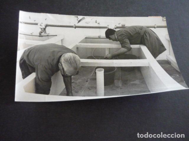 Photographie ancienne: CASTELLON DE LA PLANA CRIA DEL LANGOSTINO ANTIGUA FOTOGRAFIA ORIGINAL 12 X 18 CM
