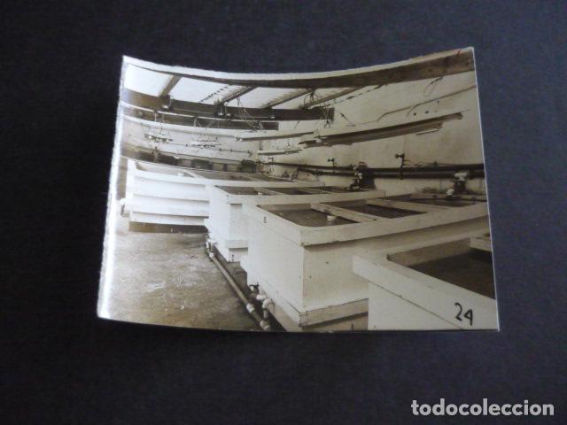 Fotografia antiga: CASTELLON DE LA PLANA CRIA DEL LANGOSTINO ANTIGUA FOTOGRAFIA ORIGINAL 12 X 8 CM