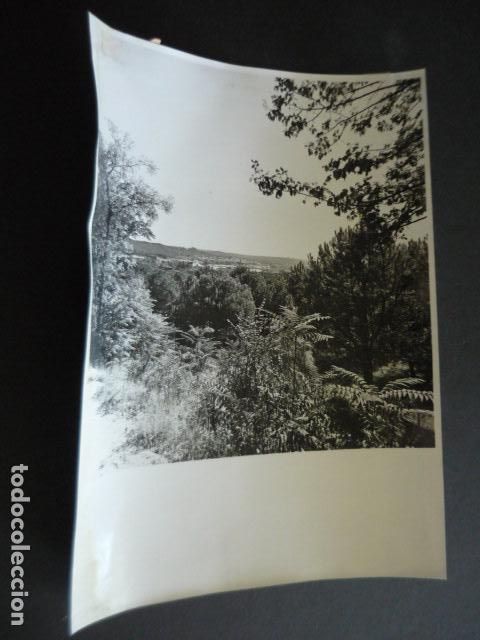 Fotograf&iacute;a antigua: EL PARDO PANORAMICA DEL MONTE ANTIGUA FOTOGRAFIA ORIGINAL 18 X 24 CM
