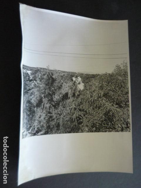 Fotograf&iacute;a antigua: EL PARDO PANORAMICA DEL MONTE ANTIGUA FOTOGRAFIA ORIGINAL 18 X 24 CM