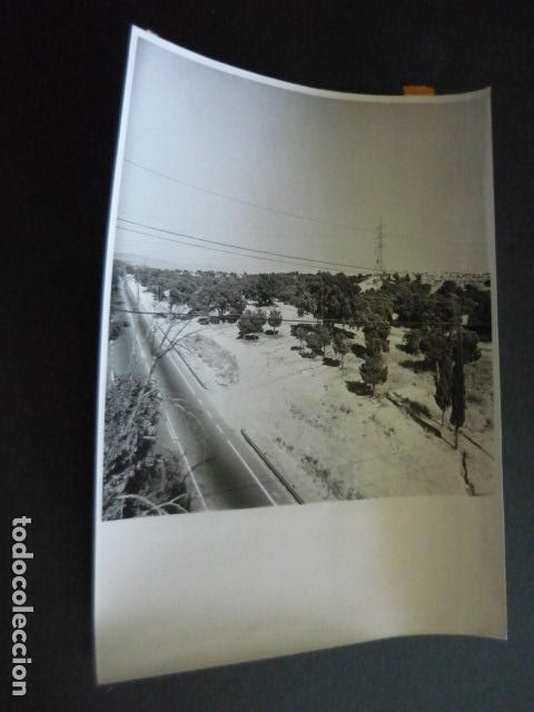 Fotograf&iacute;a antigua: EL PARDO PANORAMICA DEL MONTE ANTIGUA FOTOGRAFIA ORIGINAL 18 X 24 CM