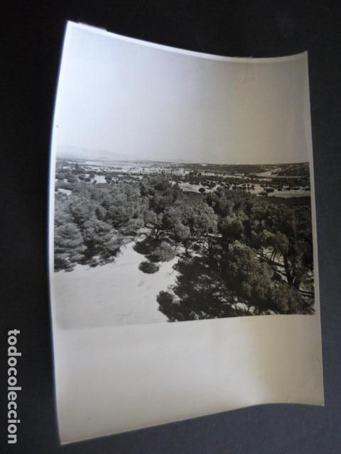 Fotografia antica: EL PARDO PANORAMICA DEL MONTE ANTIGUA FOTOGRAFIA ORIGINAL 18 X 24 CM