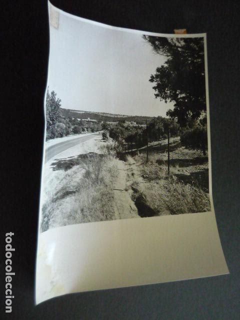 Photographie ancienne: EL PARDO PANORAMICA DEL MONTE ANTIGUA FOTOGRAFIA ORIGINAL 18 X 24 CM