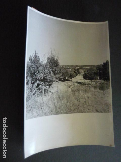 Fotografia antica: EL PARDO PANORAMICA DEL MONTE ANTIGUA FOTOGRAFIA ORIGINAL 18 X 24 CM