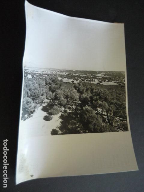 Fotografia antica: EL PARDO PANORAMICA DEL MONTE ANTIGUA FOTOGRAFIA ORIGINAL 18 X 24 CM