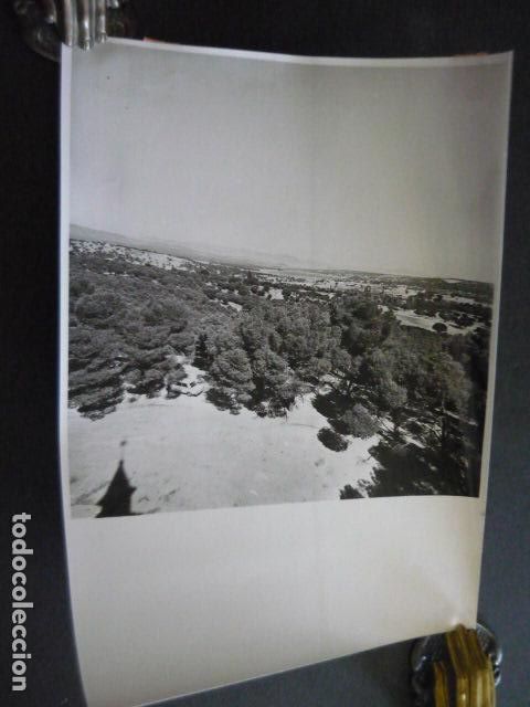 Fotografia antica: EL PARDO PANORAMICA DEL MONTE ANTIGUA FOTOGRAFIA ORIGINAL 18 X 24 CM