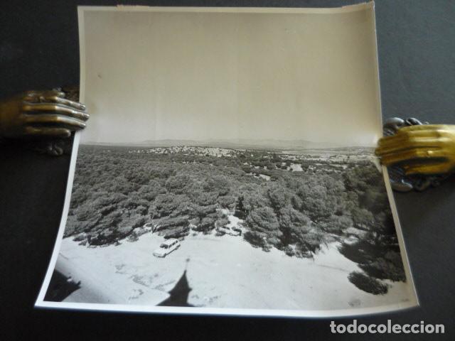 Fotografia antica: EL PARDO PANORAMICA DEL MONTE ANTIGUA FOTOGRAFIA ORIGINAL 18 X 24 CM