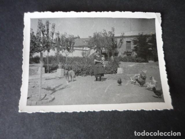 Alte Fotografie: MOSTOLES MADRID MUJER EN CORRAL CON PERROS Y GALLINAS ANTIGUA FOTOGRAFIA 7 X 9 CM