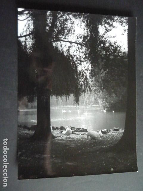 Fotografia antica: GIJON ASTURIAS PARQUE DE ISABEL LA CATOLICA ANTIGUA FOTOGRAFIA ORIGINAL 17 X 23 CM
