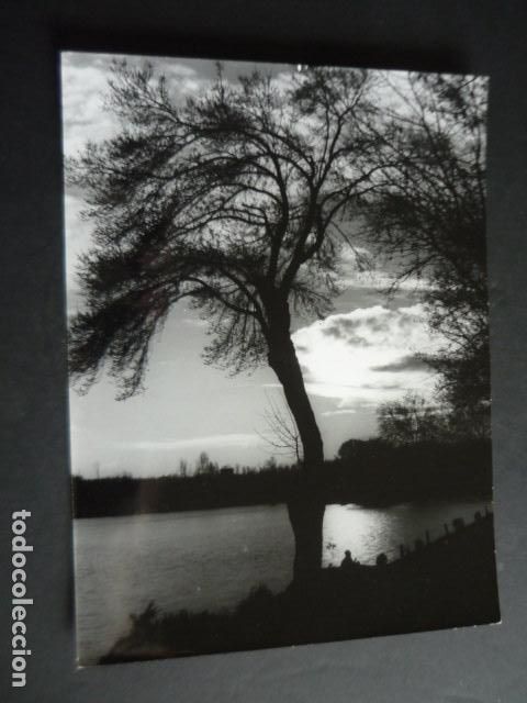 Fotografia antica: MADRID LAGO DE LA CASA DE CAMPO ANTIGUA FOTOGRAFIA ORIGINAL 17 X 23 CM