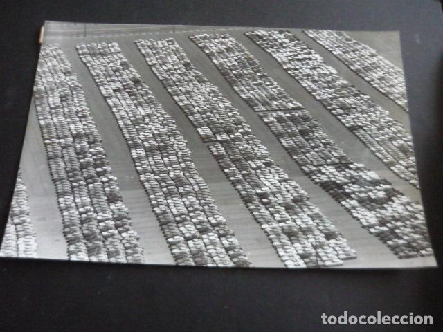 Fotografia antiga: EXPORTACION DE AUTOMOVILES A JAPON DESDE ESTADOS UNIDOS ANTIGUA FOTOGRAFIA ORIGINAL 20 X 29 CM