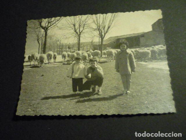 Antique Photography: RIAZA SEGOVIA NI&Ntilde;OS Y REBA&Ntilde;O DE OVEJAS ANTIGUA FOTOGRAFIA 11 X 8 CM
