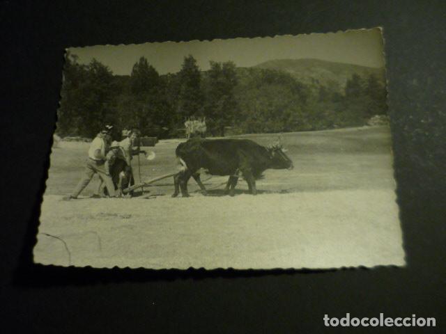 Fotograf&iacute;a antigua: RIAZA SEGOVIA TRILLANDO ANTIGUA FOTOGRAFIA 11 X 8 CM