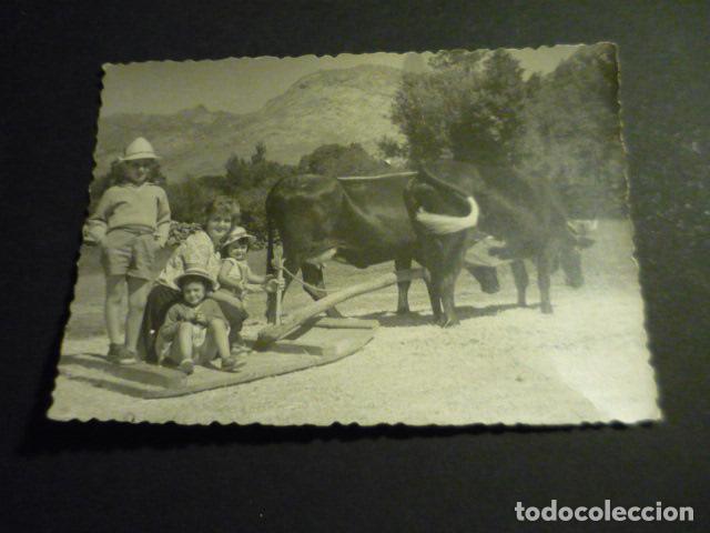 Antique Photography: RIAZA SEGOVIA TRILLANDO ANTIGUA FOTOGRAFIA 11 X 8 CM