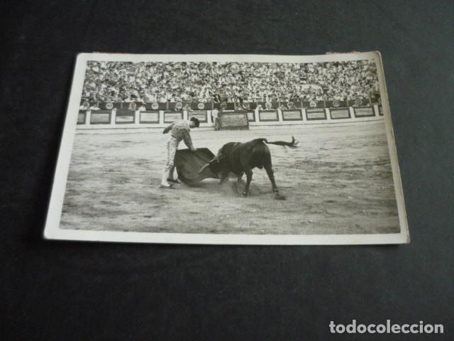 Fotografia antica: ALEJO MORENO TORERO FOTOGRAFIA ORIGINAL 13 X 9 CM