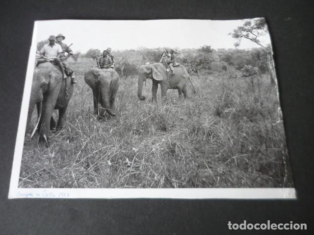 Alte Fotografie: AFRICA CACERIA CON ELEFANTES DIPLOMATICO ESPA&Ntilde;OL ANTIGUA FOTOGRAFIA 14 X 19 CM