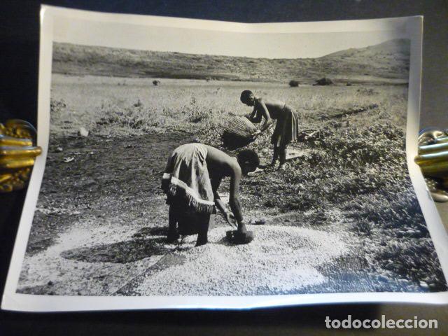 Antique Photography: TANZANIA CAMPESINAS CERNIENDO GRANO ANTIGUA FOTOGRAFIA 17 X 21 CM