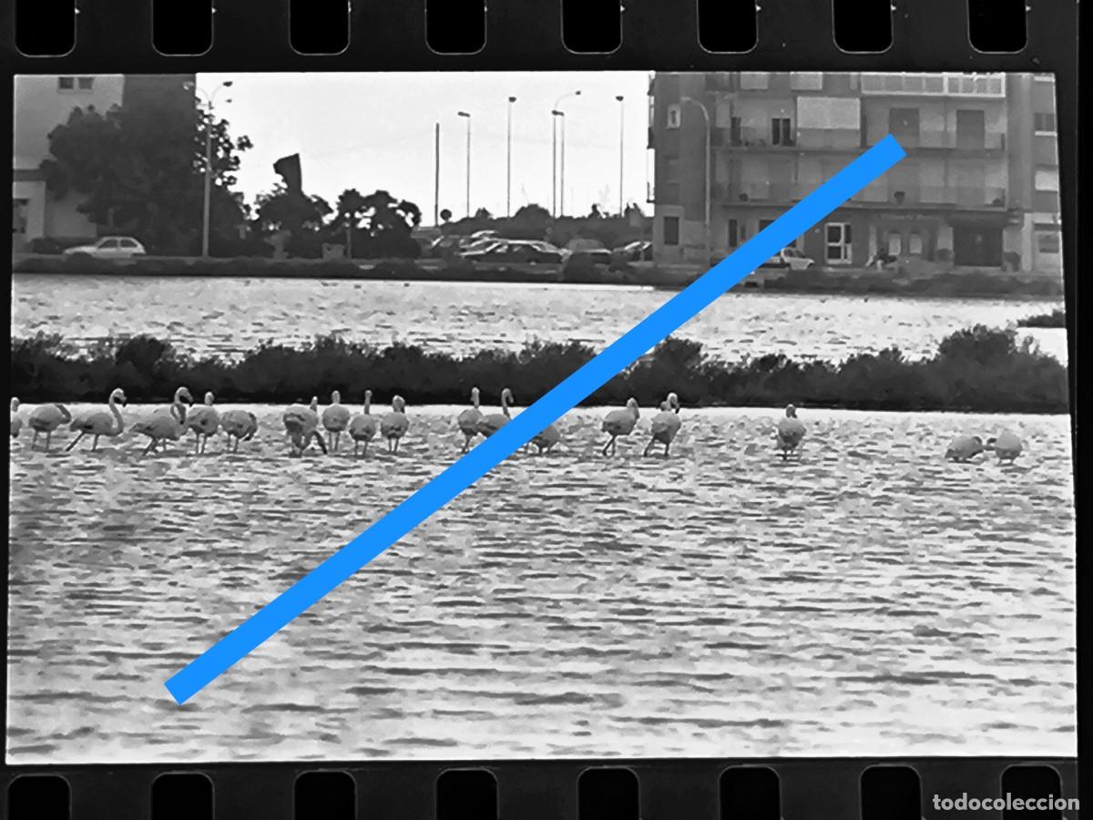 Fotograf&iacute;a antigua: Antiguo negativo de fotograf&iacute;a. Calpe Alicante. A&ntilde;os 80/90