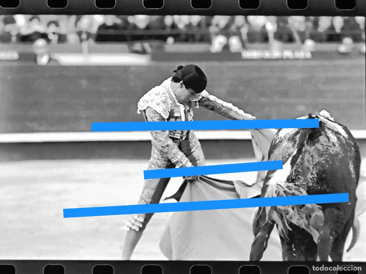 Fotograf&iacute;a antigua: Antiguo negativo de fotograf&iacute;a. Torero, torera Cristina S&aacute;nchez. Plaza de toros. A&ntilde;o 1992.