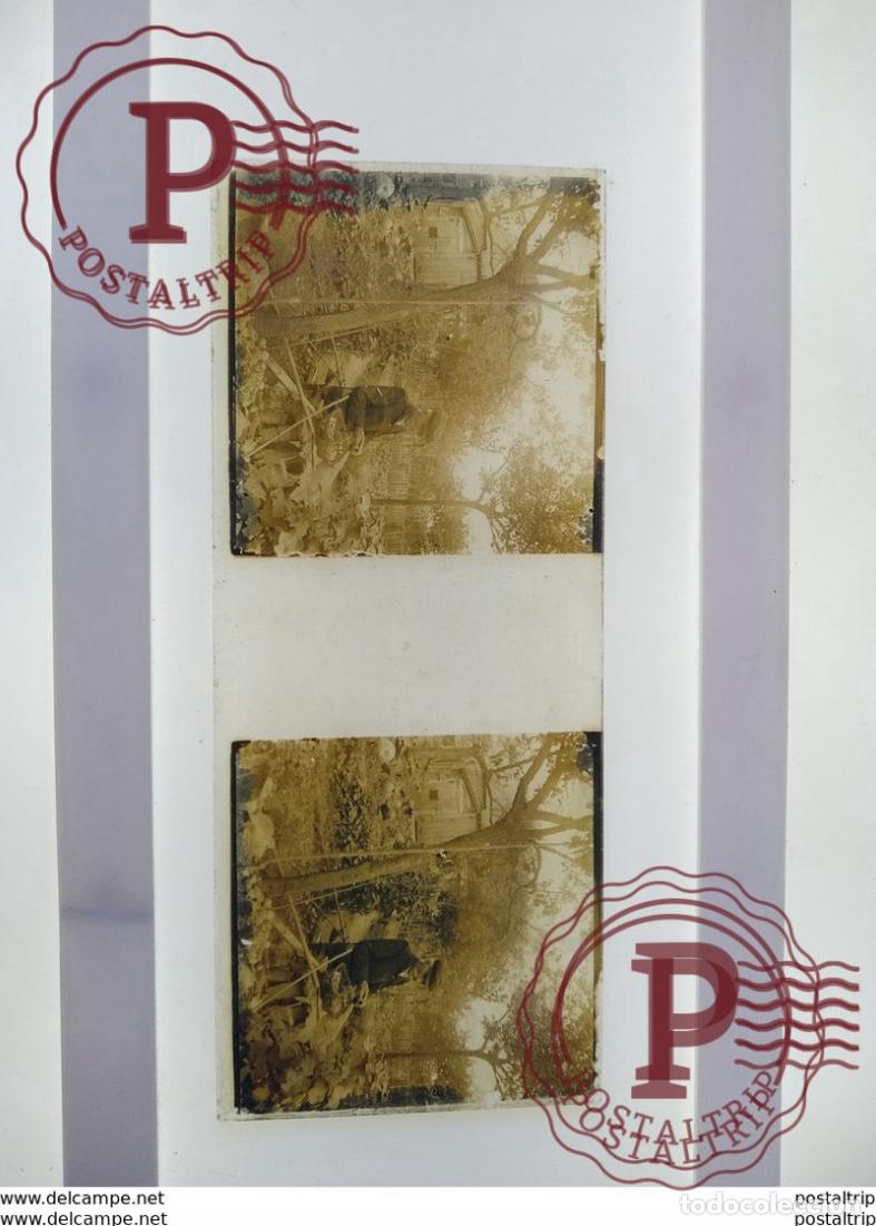 Antique Photography: St&eacute;r&eacute;o sur verre plaque de Verre Fran&ccedil;e Agriculture repas