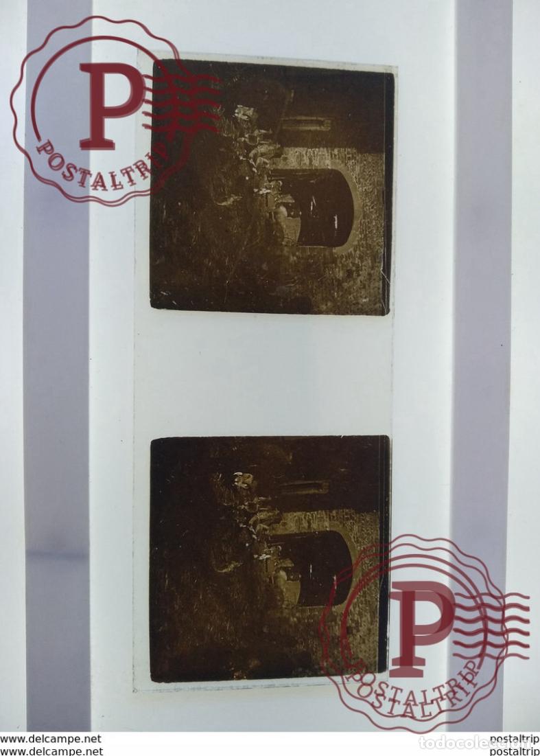Antique Photography: St&eacute;r&eacute;o sur verre plaque de Verre Fran&ccedil;e Agriculture les animaux