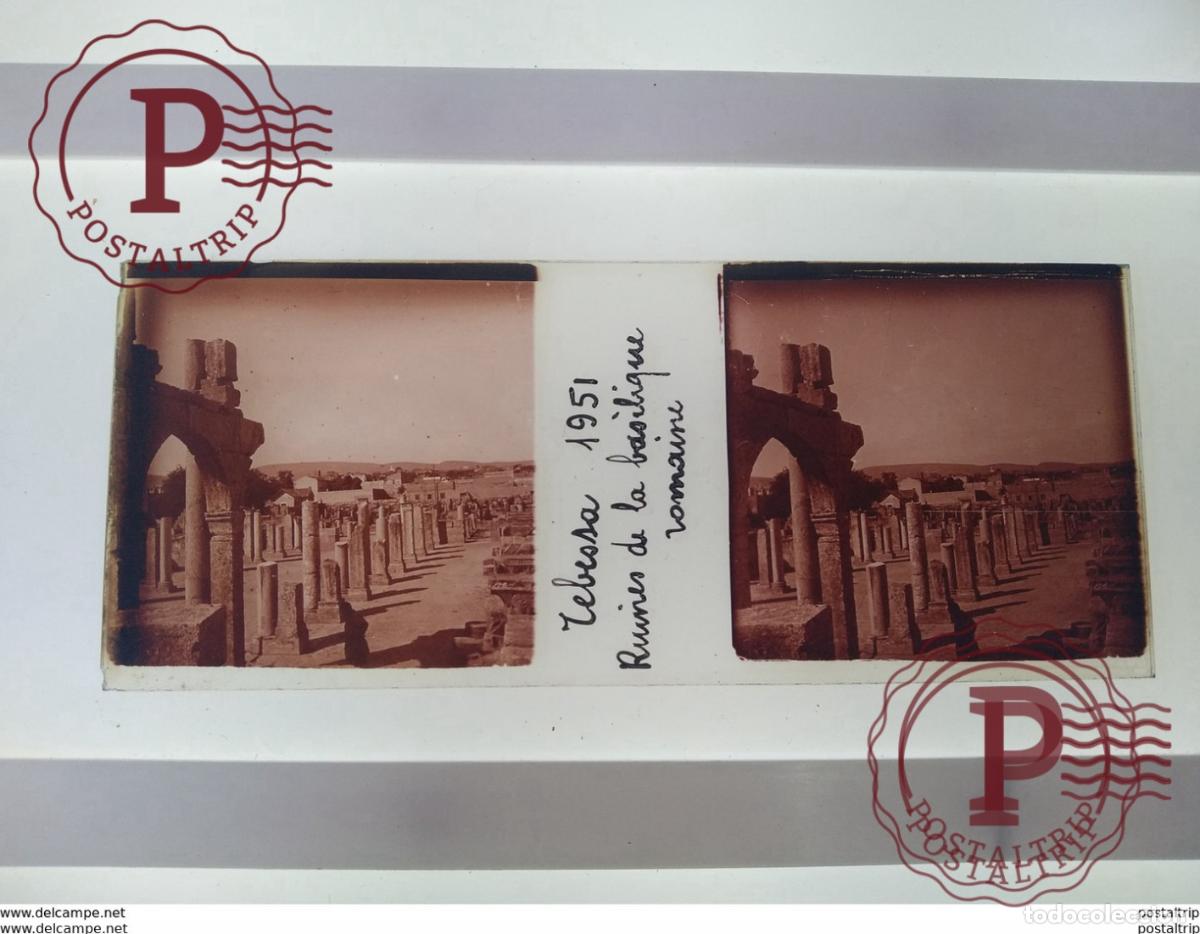 Fotograf&iacute;a antigua: Tebessa Juin 1951 Tebessa Ruines de la basilique romaine St&eacute;r&eacute;o sur verre plaque de Alger Alg&eacute;rie