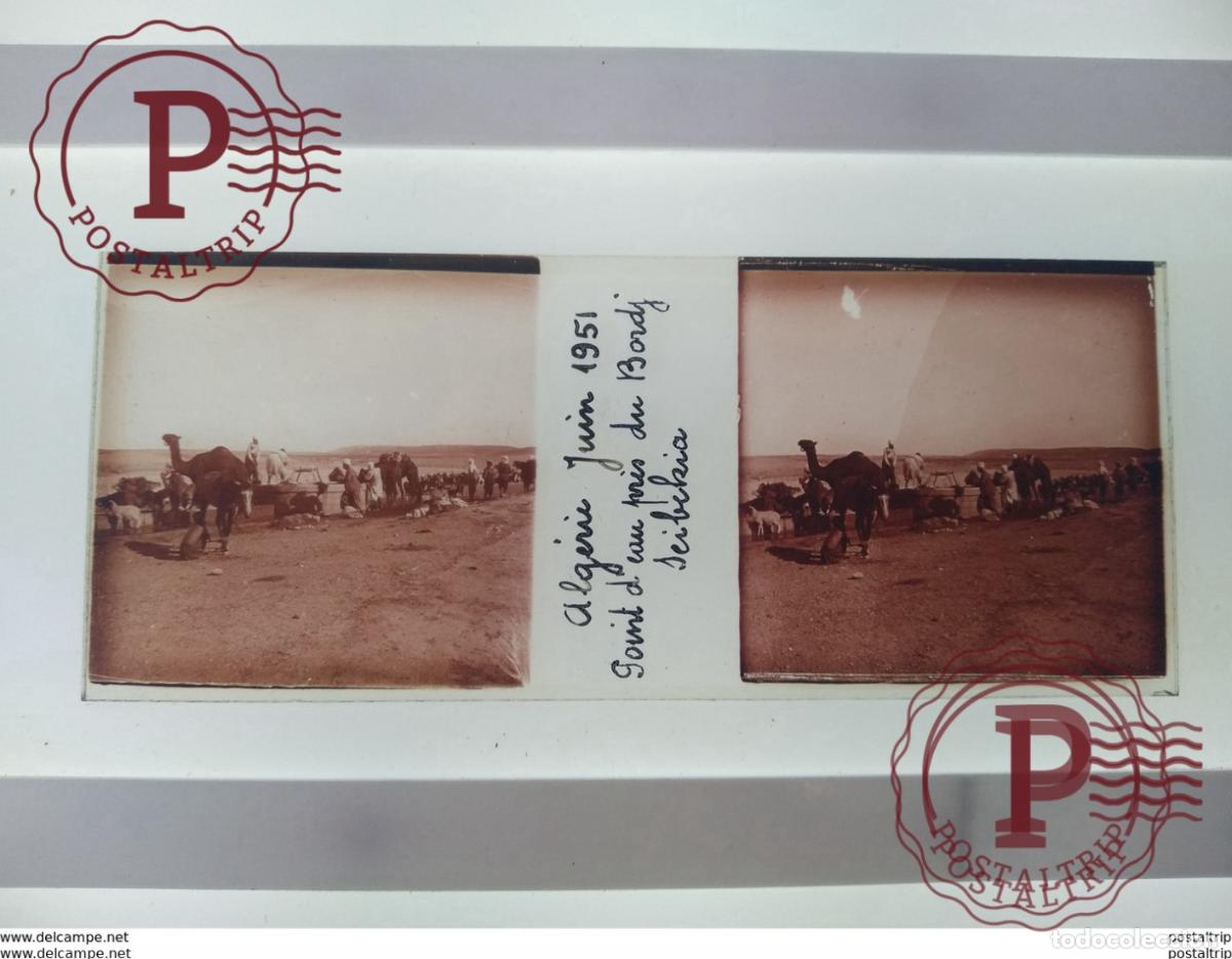 Fotograf&iacute;a antigua: Algerie Juin 1951 goint dcan pris du bordj seibelria St&eacute;r&eacute;o sur verre plaque de Alger Alg&eacute;rie les a