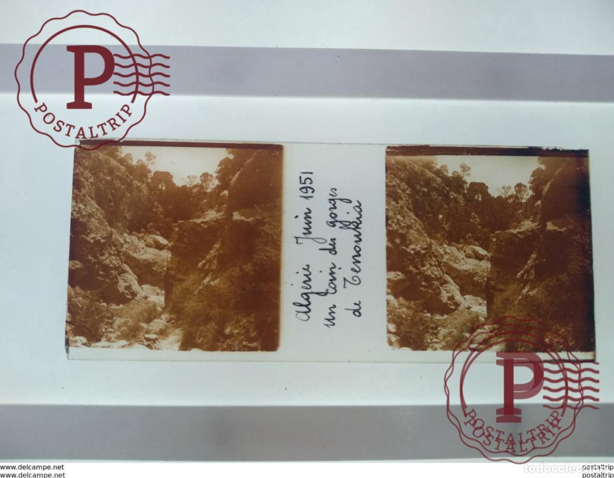Fotograf&iacute;a antigua: Algerie Juin 1951 Un ca&iuml;n des gorges de zenonia St&eacute;r&eacute;o sur verre plaque de Alger Alg&eacute;rie
