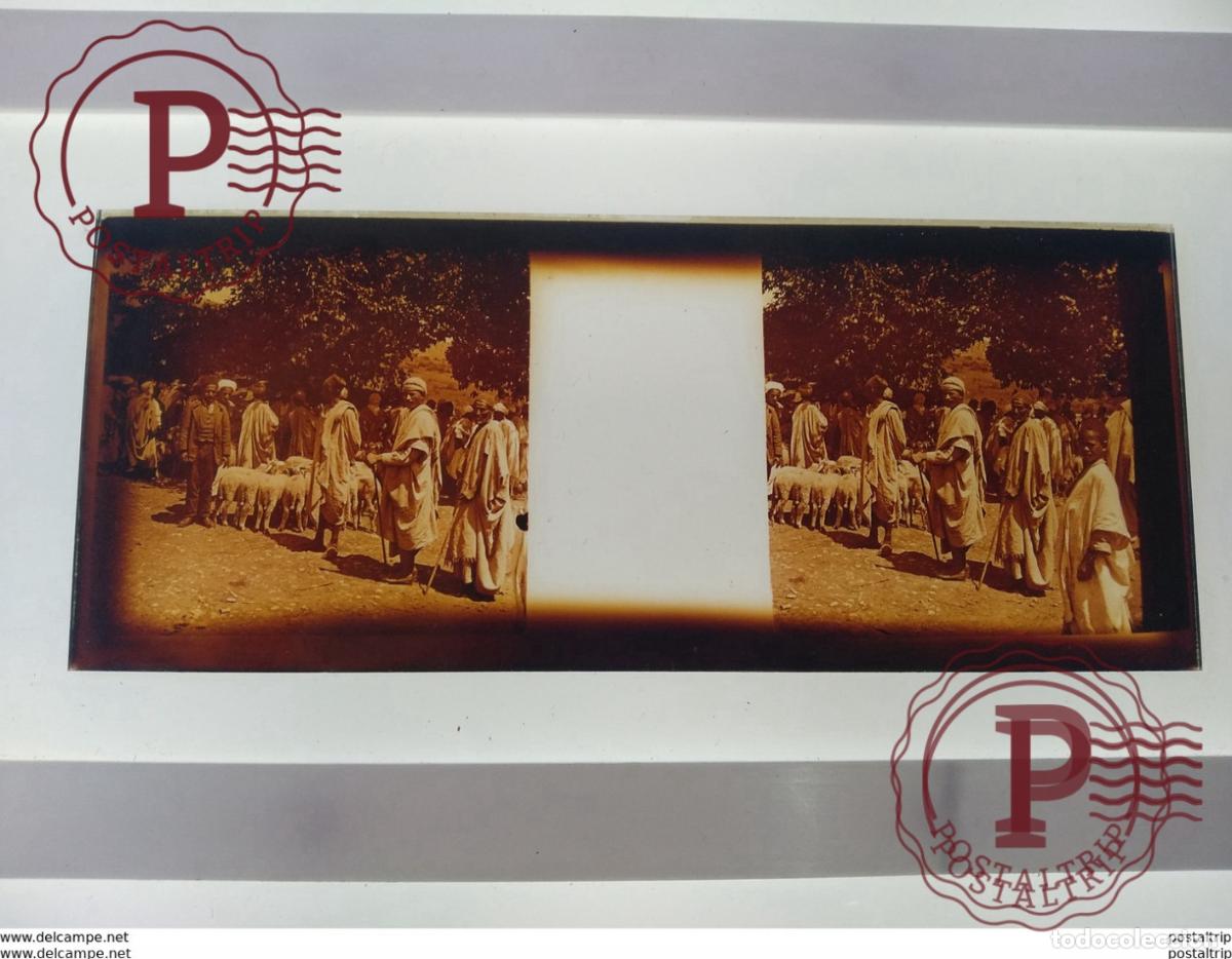 Fotograf&iacute;a antigua: St&eacute;r&eacute;o sur verre plaque de Alger Alg&eacute;rie personnes agriculture