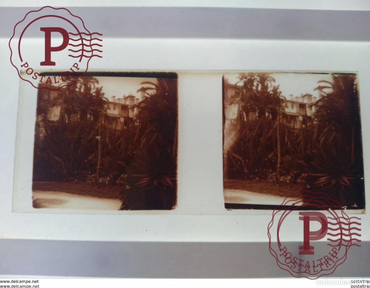 Fotograf&iacute;a antigua: St&eacute;r&eacute;o sur verre plaque de Alger Alg&eacute;rie maison