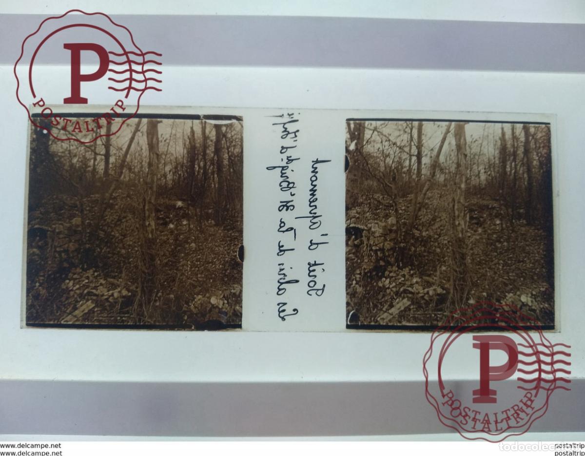 Antique Photography: Foret dApremont Les abris de la 31 Brig de d Infri St&eacute;r&eacute;o sur verre plaque de Verre Fran&ccedil;e Guerre M