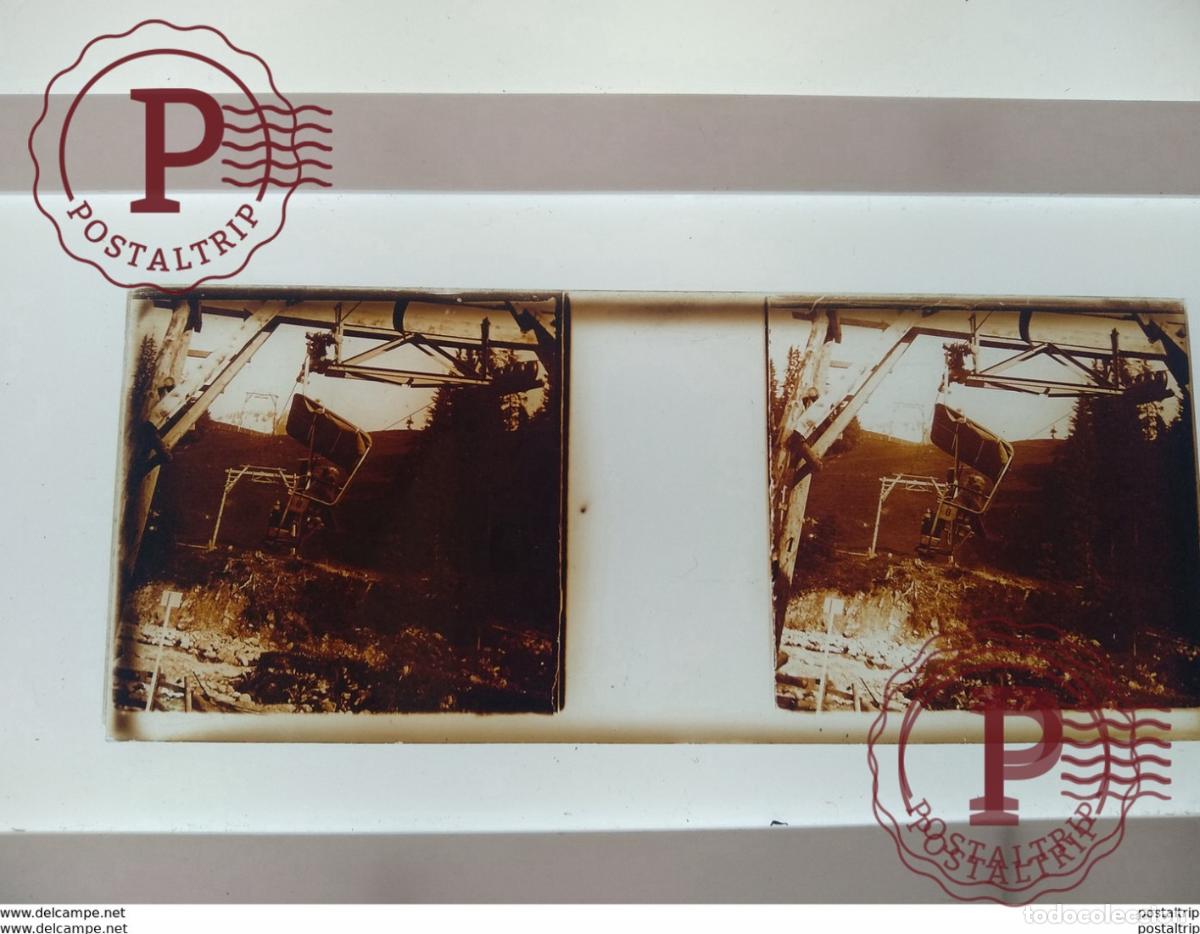 Antique Photography: St&eacute;r&eacute;o sur verre plaque de Verre Fran&ccedil;e T&eacute;l&eacute;ph&eacute;rique Chiens