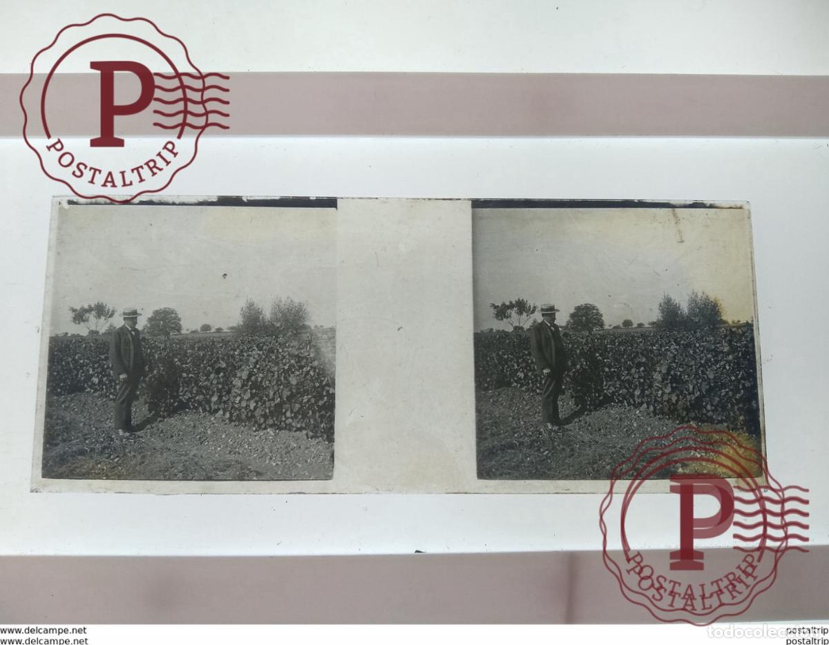 Antique Photography: St&eacute;r&eacute;o sur verre plaque de Verre Fran&ccedil;e Agriculture