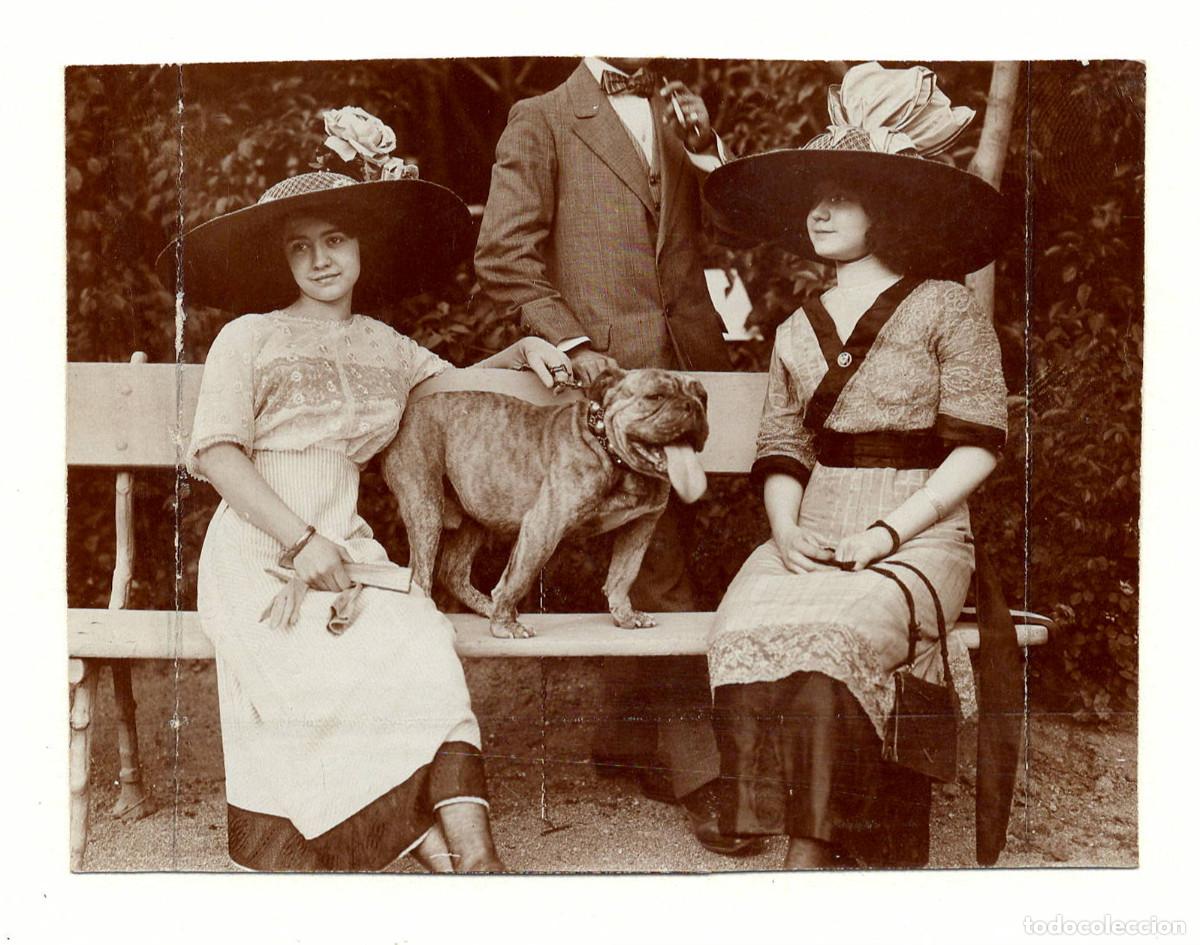 Fotograf&iacute;a antigua: Inauguraci&oacute;n exposici&oacute;n canina, perro punch bulldog ingl&eacute;s de Carlos Barber&iacute;a. Foto 8x10,5cm.