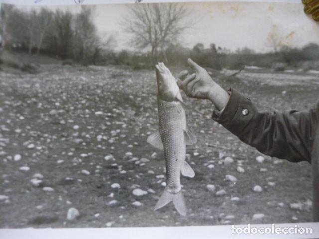 Fotograf&iacute;a antigua: PESCA DEL BARBO ANTIGUA FOTOGRAFIA ORIGINAL 13 X 18 CM