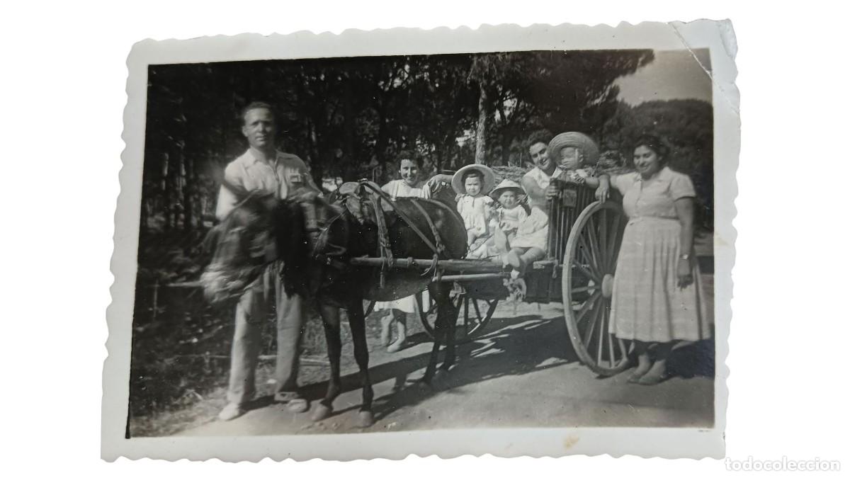 Fotograf&iacute;a antigua: FOTOGRAF&Iacute;A ANTIGUA DE FAMILIA CON CARRO Y BURRO EN CAMINO ARBOLADO - A&Ntilde;OS 20/30