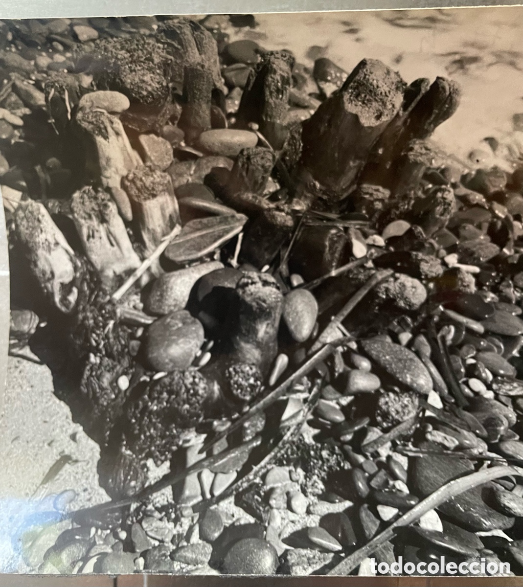 Fotograf&iacute;a antigua: Gomis, Joaquim. Atmosfera Mir&oacute;, Fotografia 17 x 17 cm