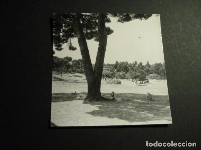 Fotografia antiga: MOGUER HUELVA ANTIGUA FOTOGRAFIA 9 X 9 CM