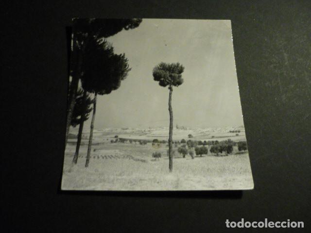 Fotografia antiga: MOGUER HUELVA ANTIGUA FOTOGRAFIA 9 X 9 CM