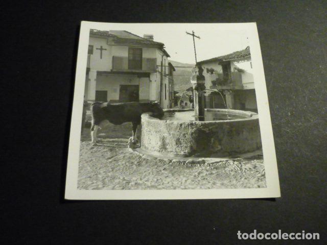 Fotografia antica: GUADALUPE CACERES ANTIGUA FOTOGRAFIA 9 X 9 CM