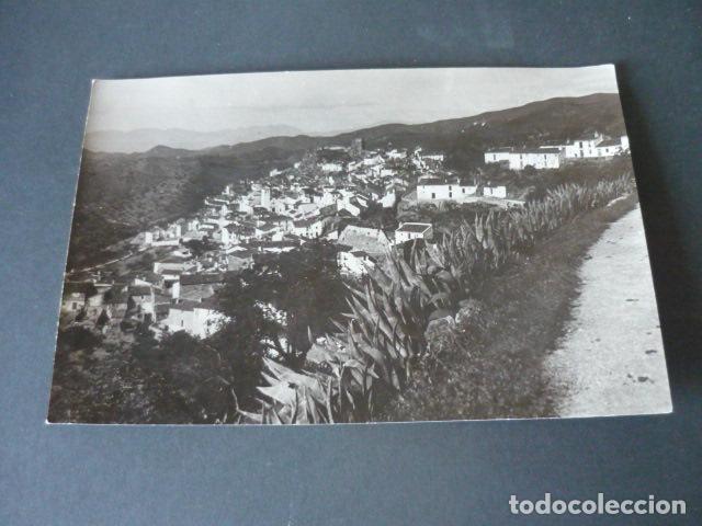 Fotografia antiga: ALMOGIA MALAGA VISTA PANORAMICA ANTIGUA FOTOGRAFIA 17 X 11 CM