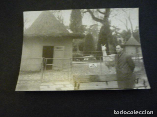 Antique Photography: MADRID EL RETIRO CASA DE FIERAS ANTIGUA FOTOGRAFIA 7,5 X 10,5 CM