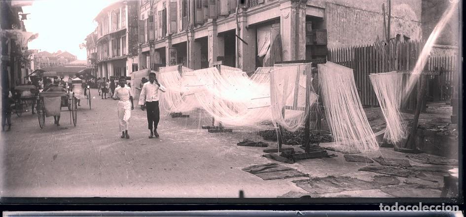 Fotograf&iacute;a antigua: SIR LANKA LOTE 12 NEGATIVOS DE CRISTAL FORMATO 6 X 13 CM.