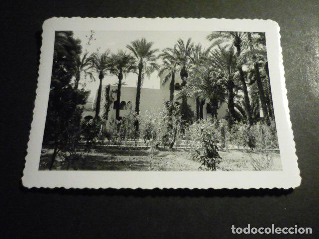 Fotografia antica: ELCHE ALICANTE HUERTO DEL CURA ANTIGUA FOTOGRAFIA 8 X 11,5 CM
