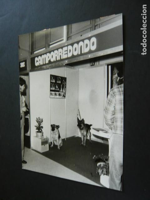 Fotografia antica: MADRID SALON DE LA SEGURIDAD SICUR ANTIGUA FOTOGRAFIA ORIGINAL 24 X 18 CM