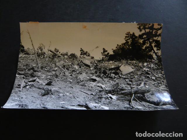 Alte Fotografie: TENERIFE ACCIDENTE DE AVIACION ANTIGUA FOTOGRAFIA ORIGINAL 18 X 12 CM