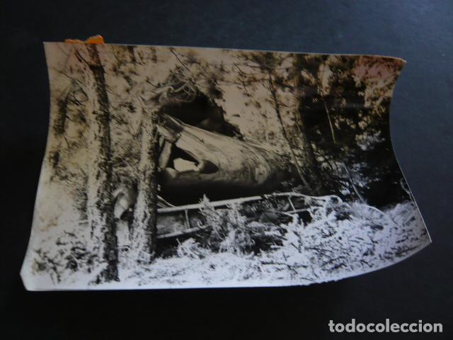 Photographie ancienne: TENERIFE ACCIDENTE DE AVIACION ANTIGUA FOTOGRAFIA ORIGINAL 18 X 12 CM