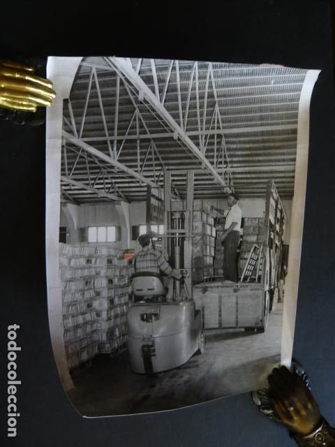 Fotograf&iacute;a antigua: CANARIAS EXPORTACION DE TOMATE ANTIGUA FOTOGRAFIA ORIGINAL 18 X 24 CM