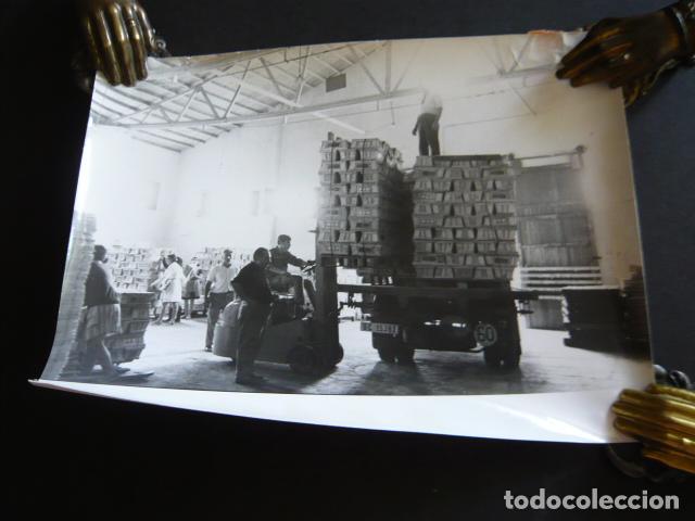 Fotograf&iacute;a antigua: CANARIAS EXPORTACION DE TOMATE ANTIGUA FOTOGRAFIA ORIGINAL 18 X 24 CM